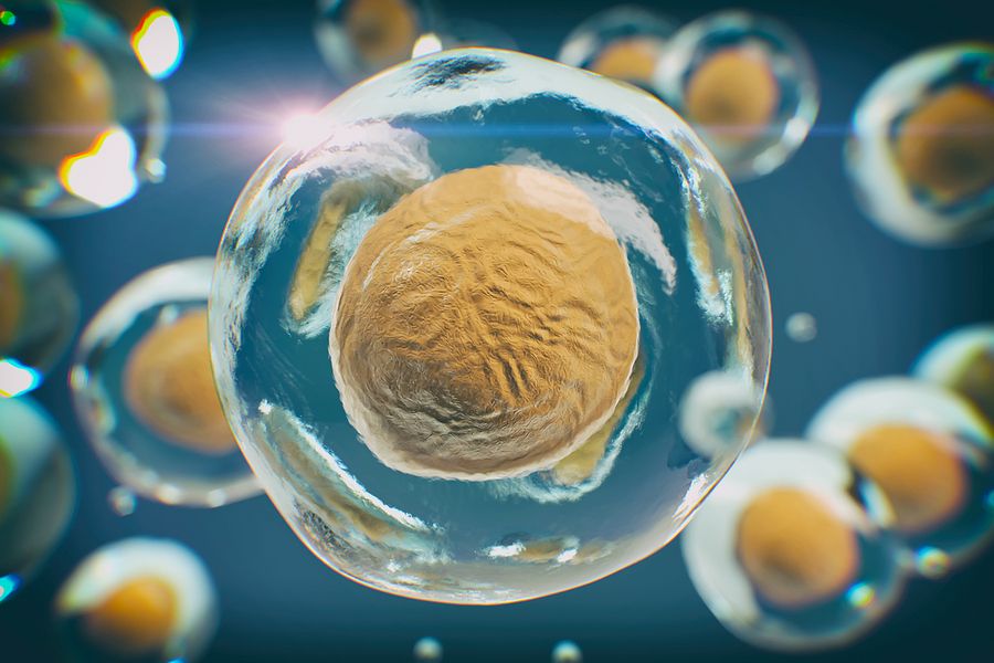 Body cells under a microscope. A good illustration as a representation of research of stem cells, cellular therapy and regeneration and many other concepts. 3D illustration